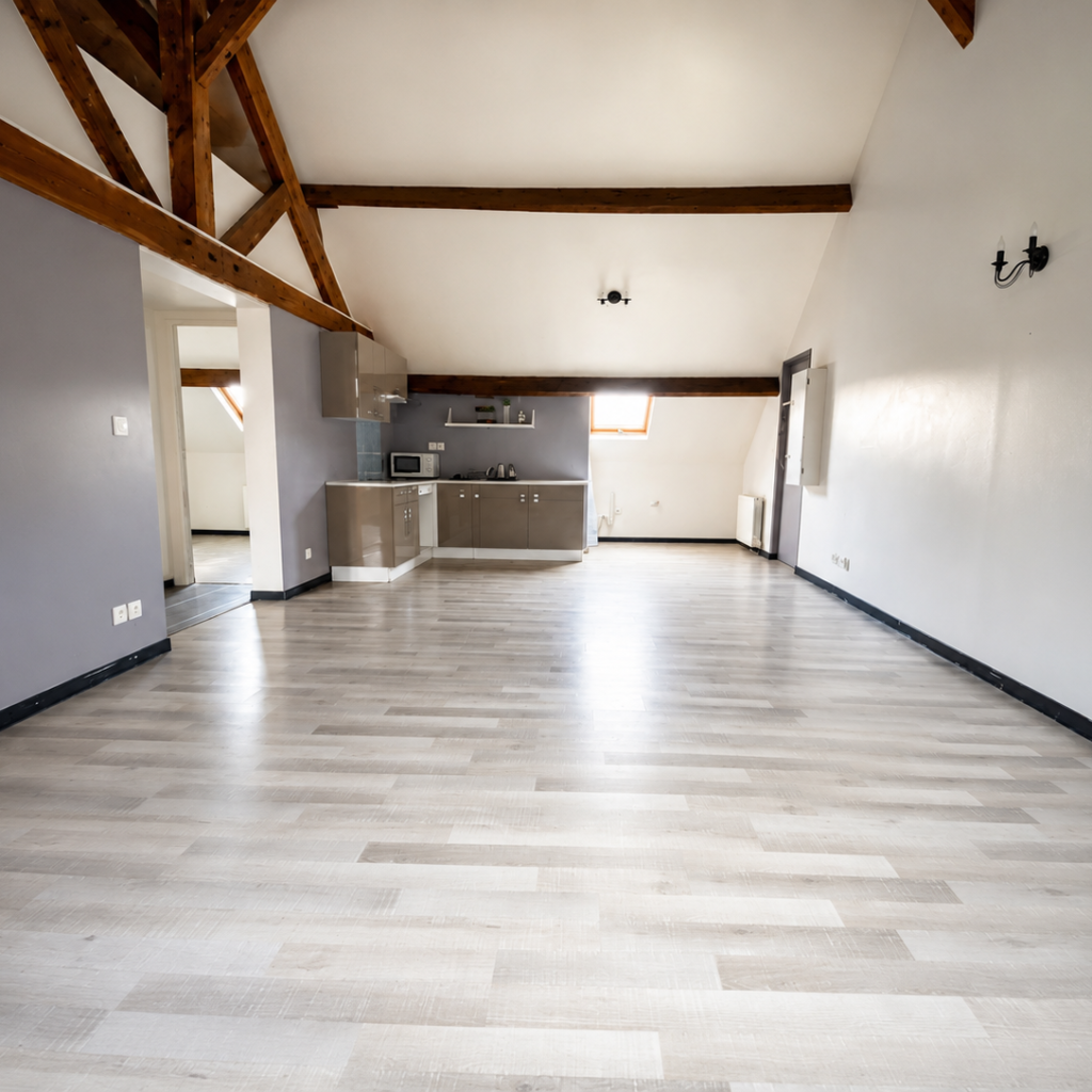 Appartement T3 de 57 m2 avec mezzanine- CENTRE-VILLE