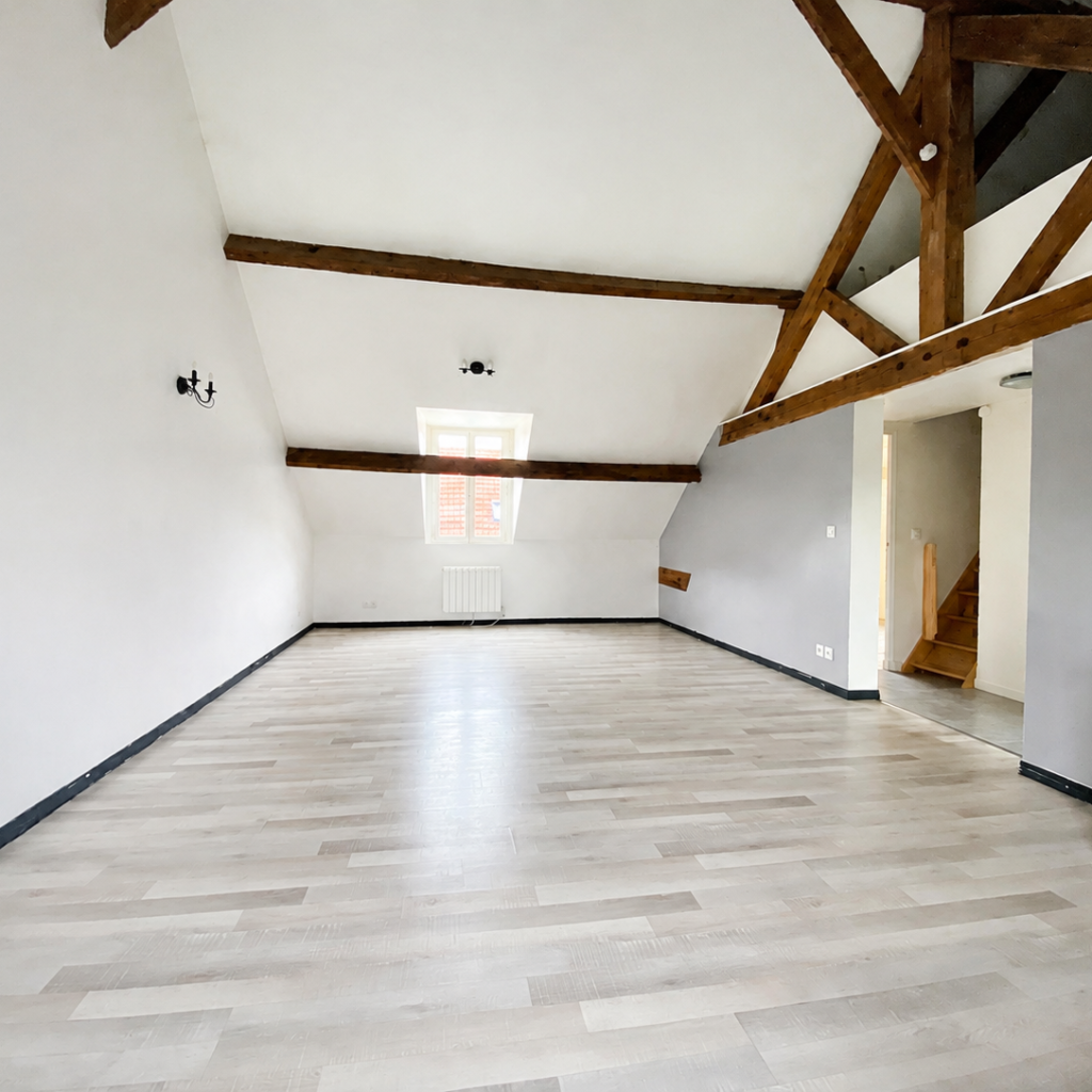 Appartement T3 de 57 m2 avec mezzanine- CENTRE-VILLE