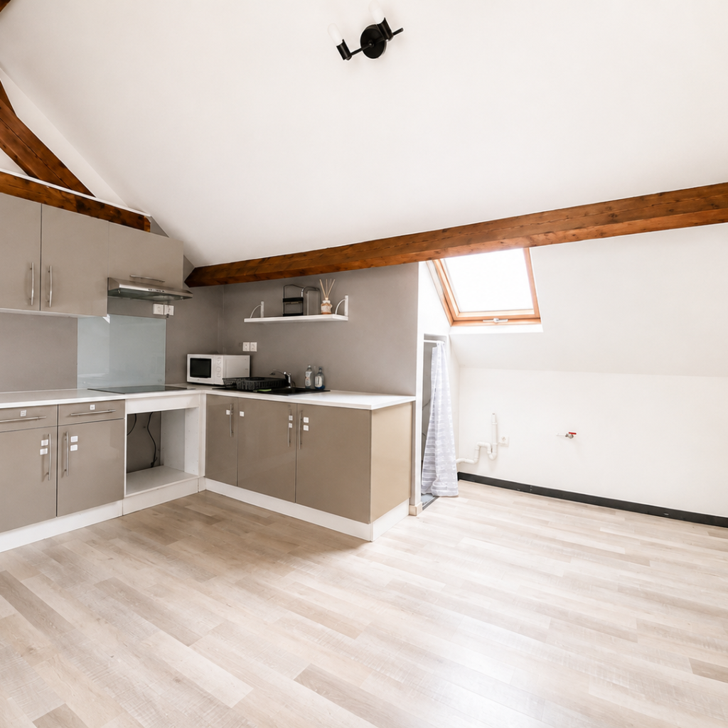 Appartement T3 de 57 m2 avec mezzanine- CENTRE-VILLE